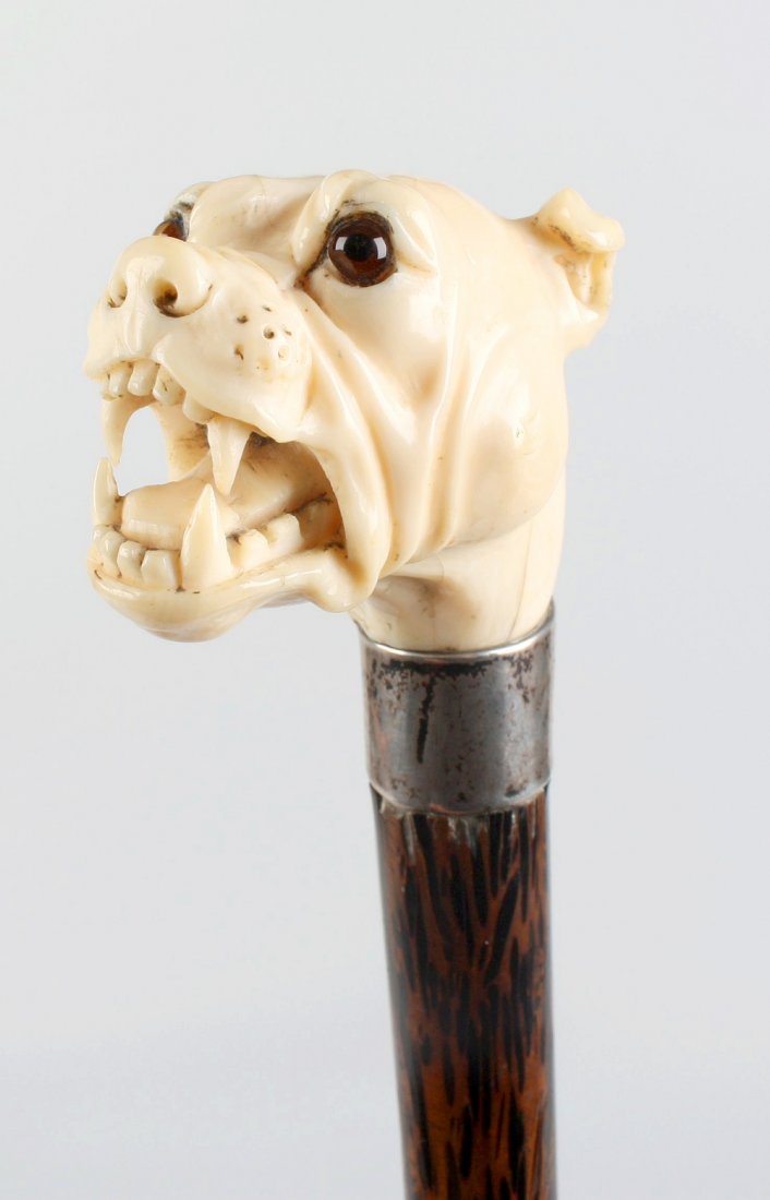 A 19th century ivoryhandled walking stick or cane