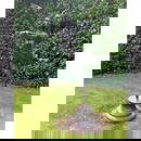 Tom Merrifield (1931 - 2021) bronze dancer