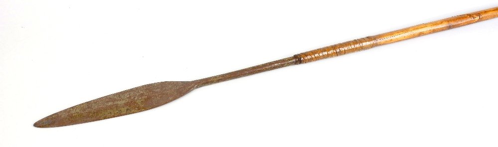 An African spear or Assegai: An African spear or Assegai. Possibly Zulu, with plaited bindings to the turned wooden shaft, 46.5", (119cm) long.