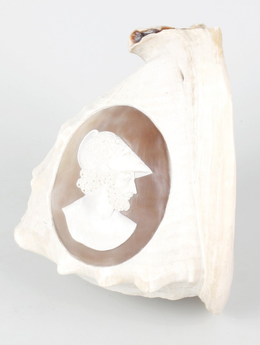 A Neapolitan carved cameo shell: A Neapolitan carved cameo shell. Decorated with a profile portrait of Pericles, the bearded figure wearing a helmet, 6.25", (16cm).