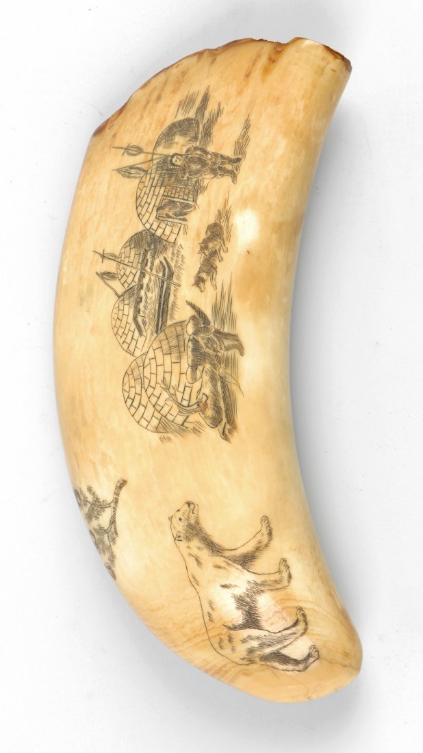 A scrimshaw-decorated sperm whale tooth: A scrimshaw-decorated sperm whale tooth, depicting a polar bear, Inuit and huskies beside igloos, and to the other side seals and figure in kayak, 5.5" (14cm) long.