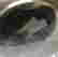 item-40499491=3