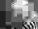 item-40500067=2