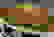 item-40500067=6