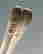 item-40500485=5