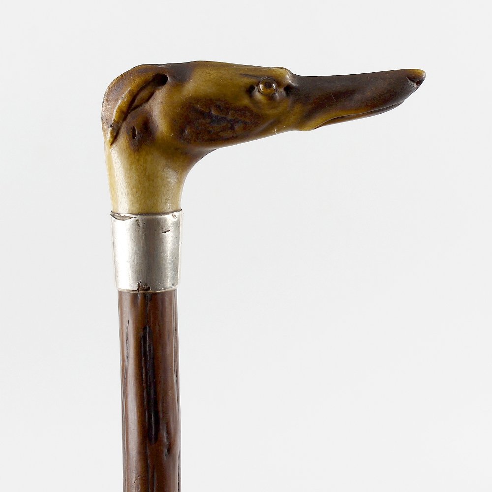 A Victorian horn-handled novelty walking stick or cane: A Victorian horn-handled novelty walking stick or cane. Modelled as the head of a greyhound or whippet, with glass eyes, to a metal collar and rootwood shaft, 33.5", (85cm) long.