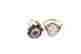item-43072337=2