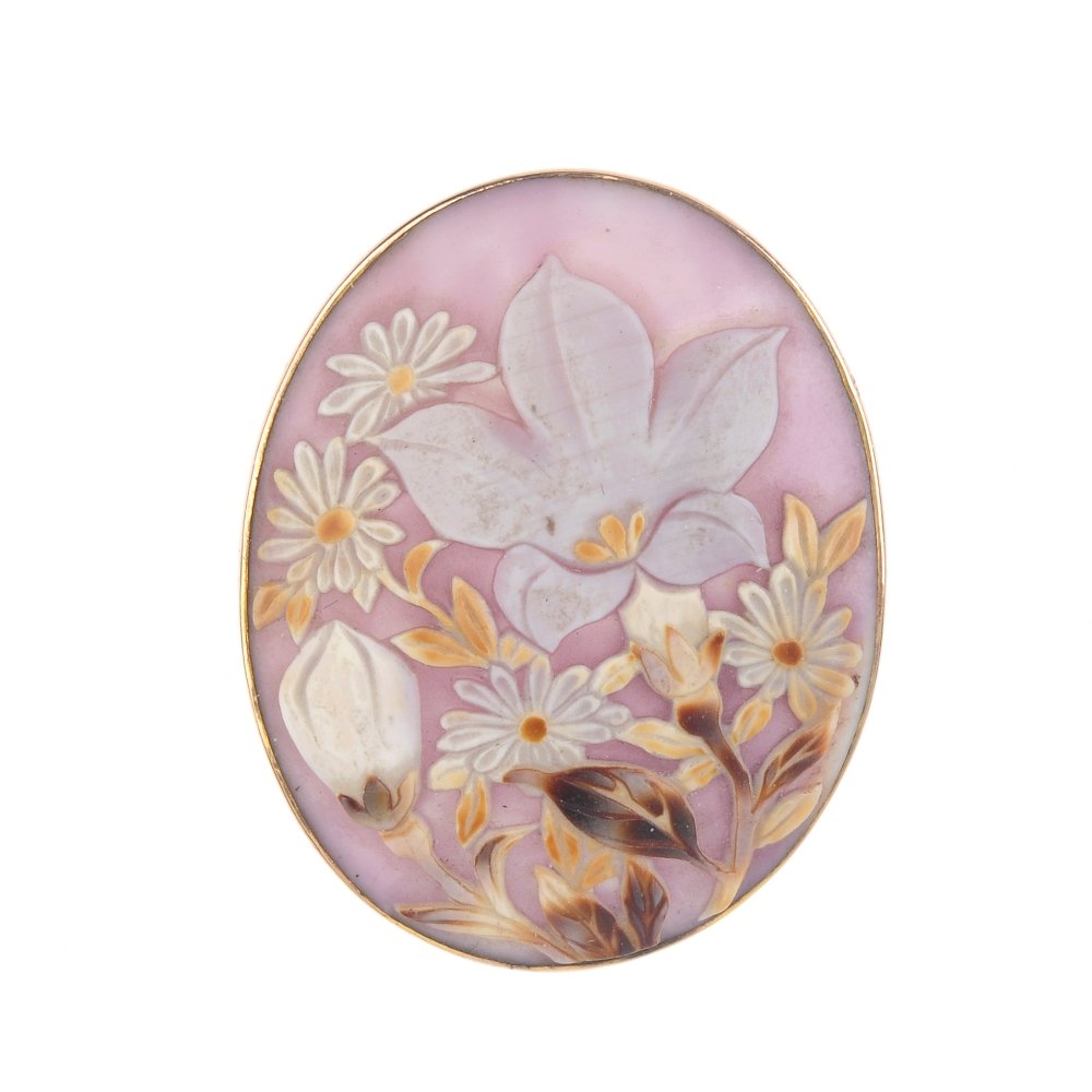 Two carved cameo brooches. The first carved shell (1 of 6)