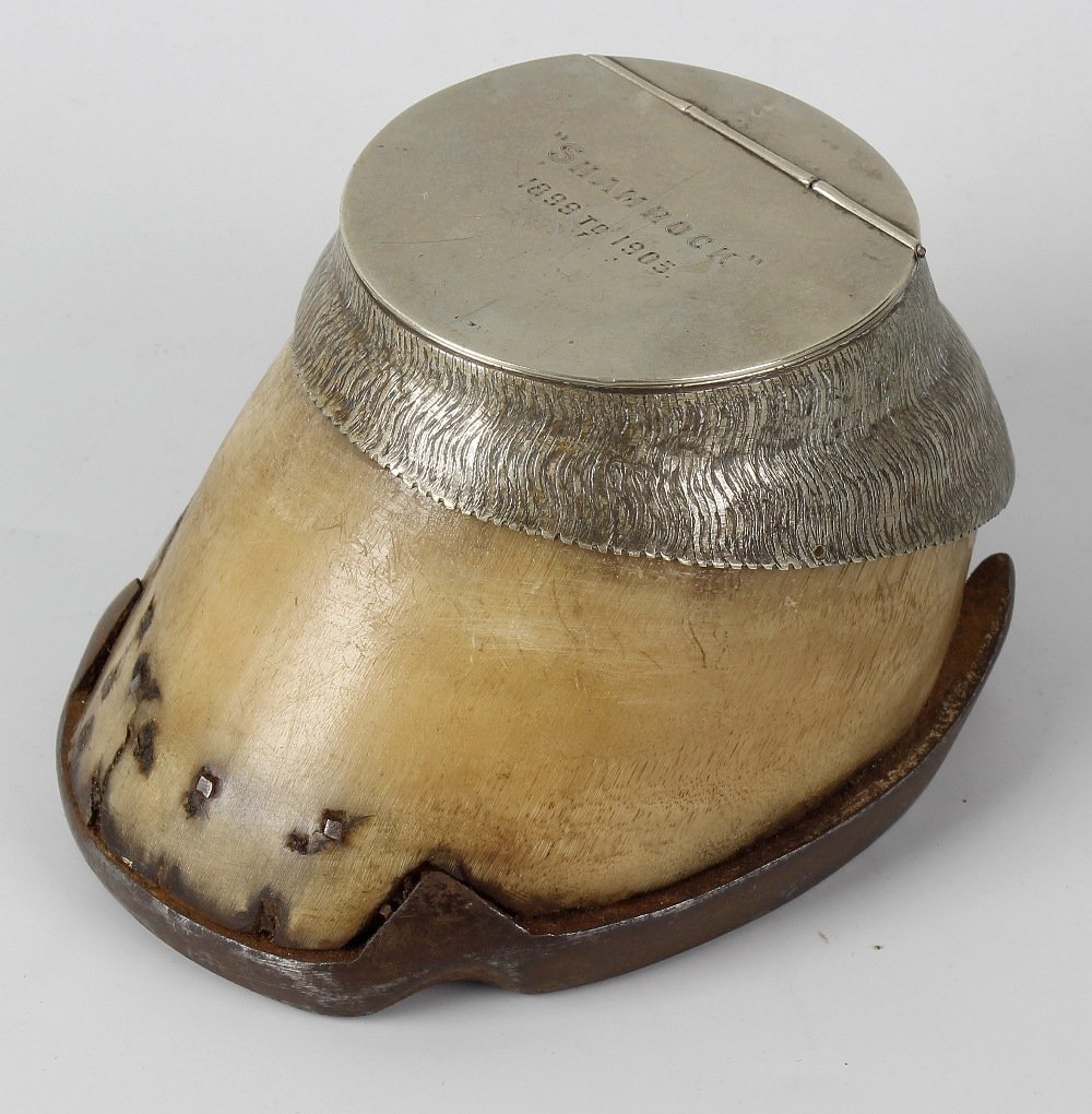 An Edwardian mounted mule hoof ink well, engraved: An Edwardian mounted mule hoof ink well, engraved 'Shamrock 1899 to 1905' to the hinged cover with textured collar to the hoof base and further shoe mount, 3.5 (9cm) high. With heavy wear and scratche