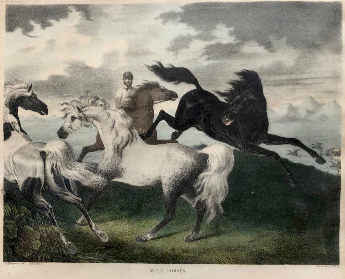 "Wild Horses" Early 19th Century Print by MED Brown (1 of 6)