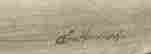 item-71223353=2
