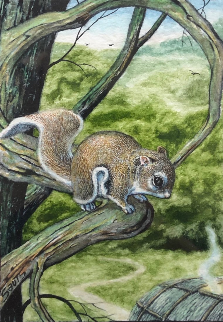 Squirrel In A Tree By Sauts, Native American Artist: Watercolor on paper 7 1/2 x 5 1/2 in. (sight), 16 3/4 x 14 1/2 in. (framed)