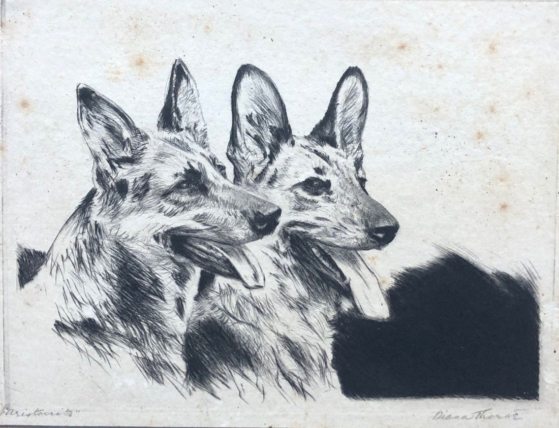 DIANA THORNE, German Shepard Dog Etching (1 of 4)