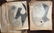 LLYOD NEY (1893-1965, Pennsylvania) Large Portfolio