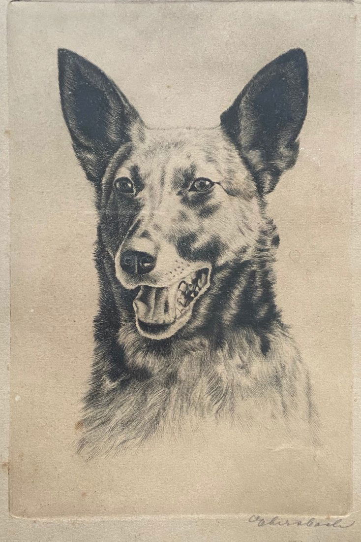 Early 20th c Etching Of A Dog, Illegible Signature (1 of 4)
