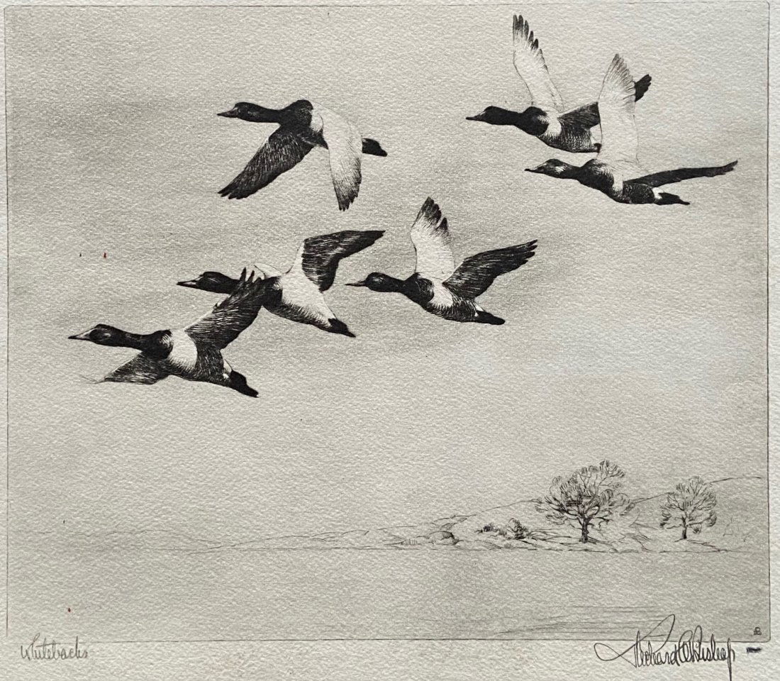 RICHARD BISHOP "Whiteheads" Etching (1 of 3)