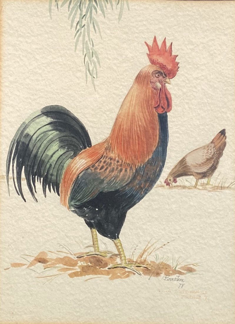 Italian Watercolor Of A Rooster, Signed Dated 1978 (1 of 4)