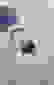 item-90729952=2