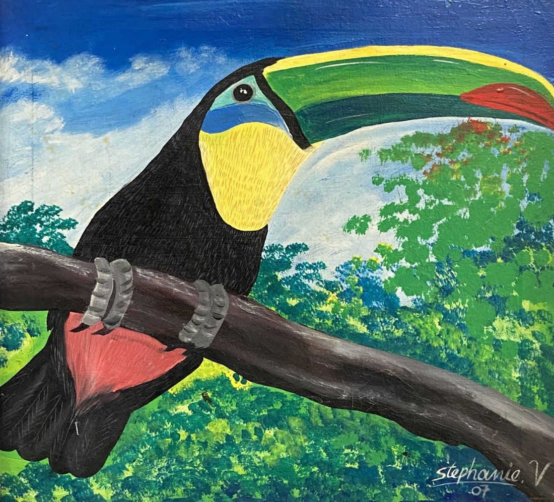 Haitian Toucan Bird Painting Signed Stephanie (1 of 4)