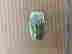 item-111810518=4
