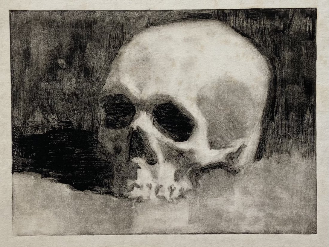 Vintage Etching Of A Skull: 8 x 6 in