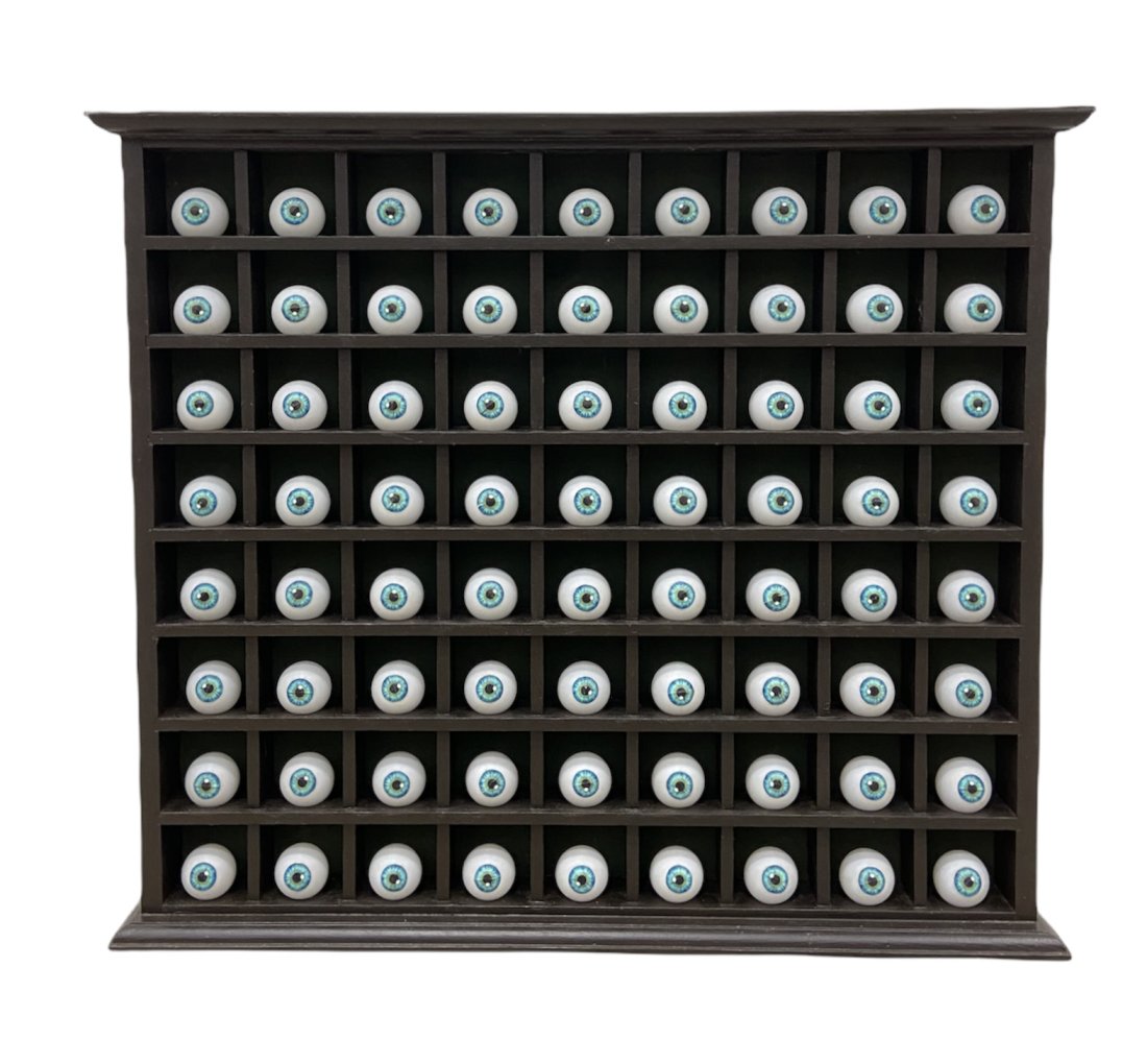 TIM RAY FISHER (b. 1969, Indiana) Eye Assemblage: Size 26 x 22 1/2 x 3 in