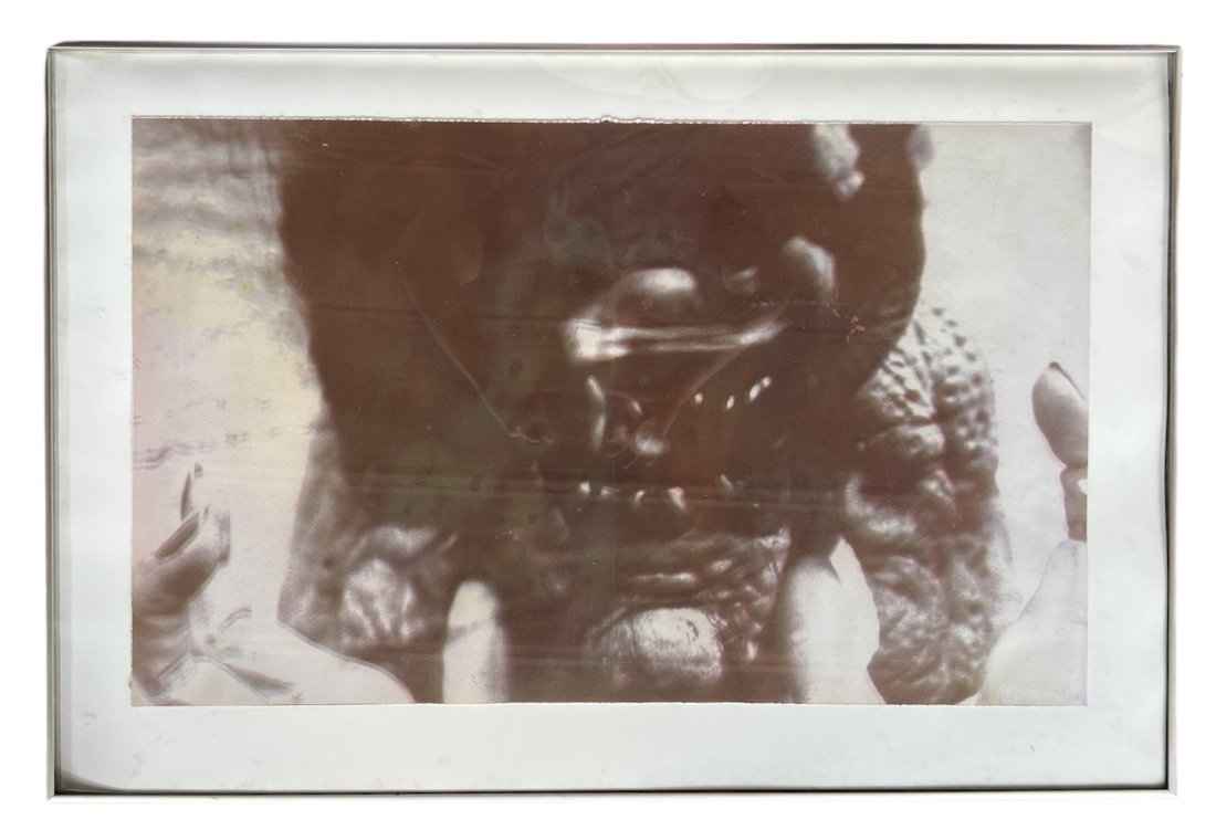 LESLIE KNEISEL (20th c, Atlanta, Georgia) Photograph: 24 x 26 in, 28 x 42 in (framed)