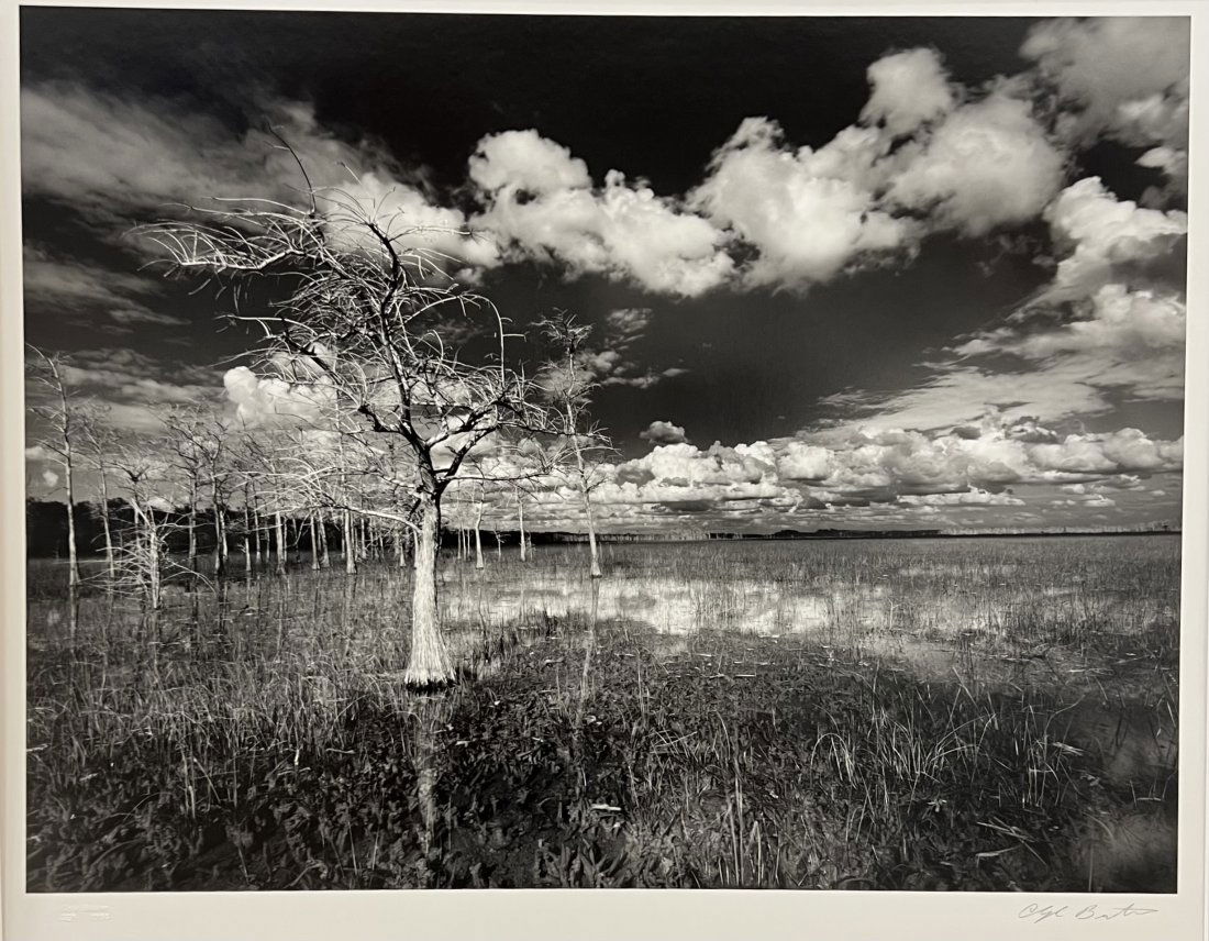 Clyde Butcher (20th c, Florida) Gannett Strand Photograph (1 of 4)