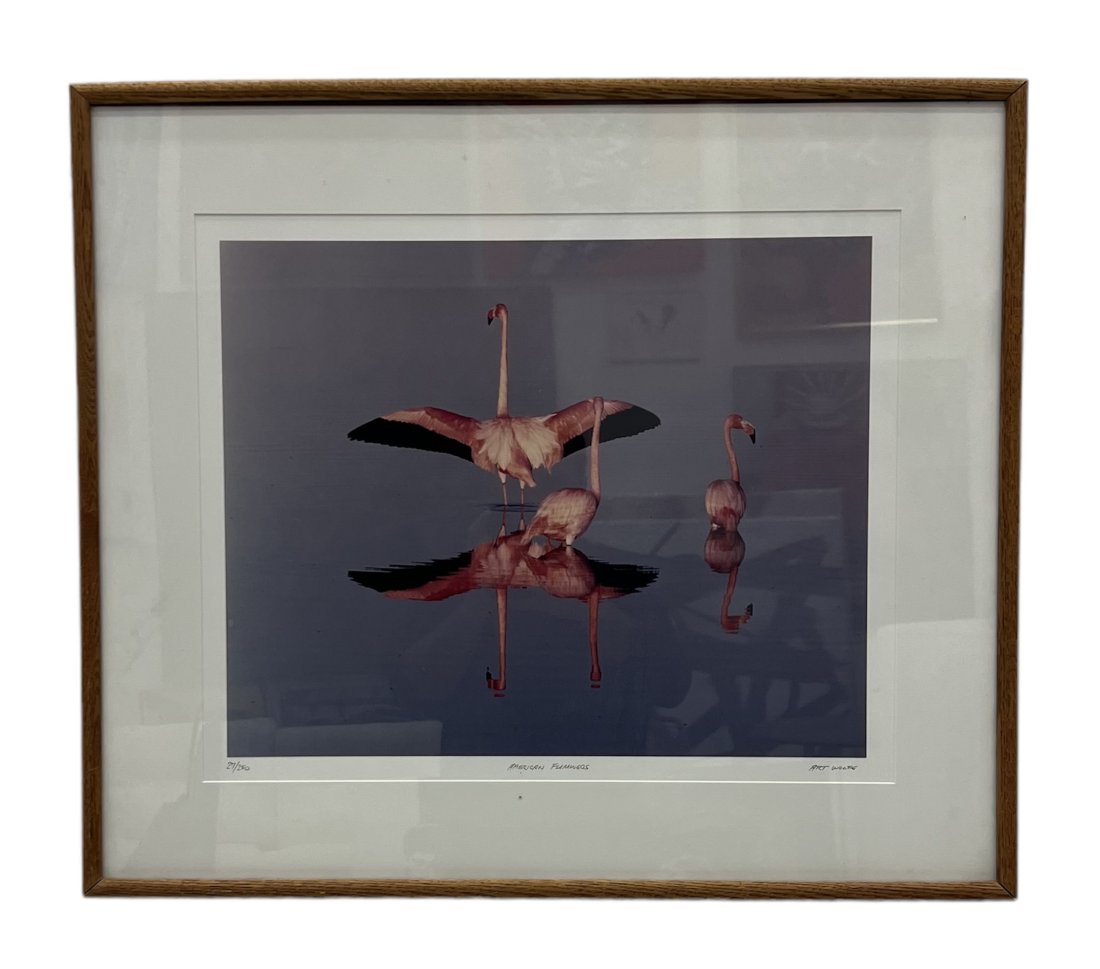 ART WOLFE, Flamingos: Pencil signed and numbered 30 x 20 in framed