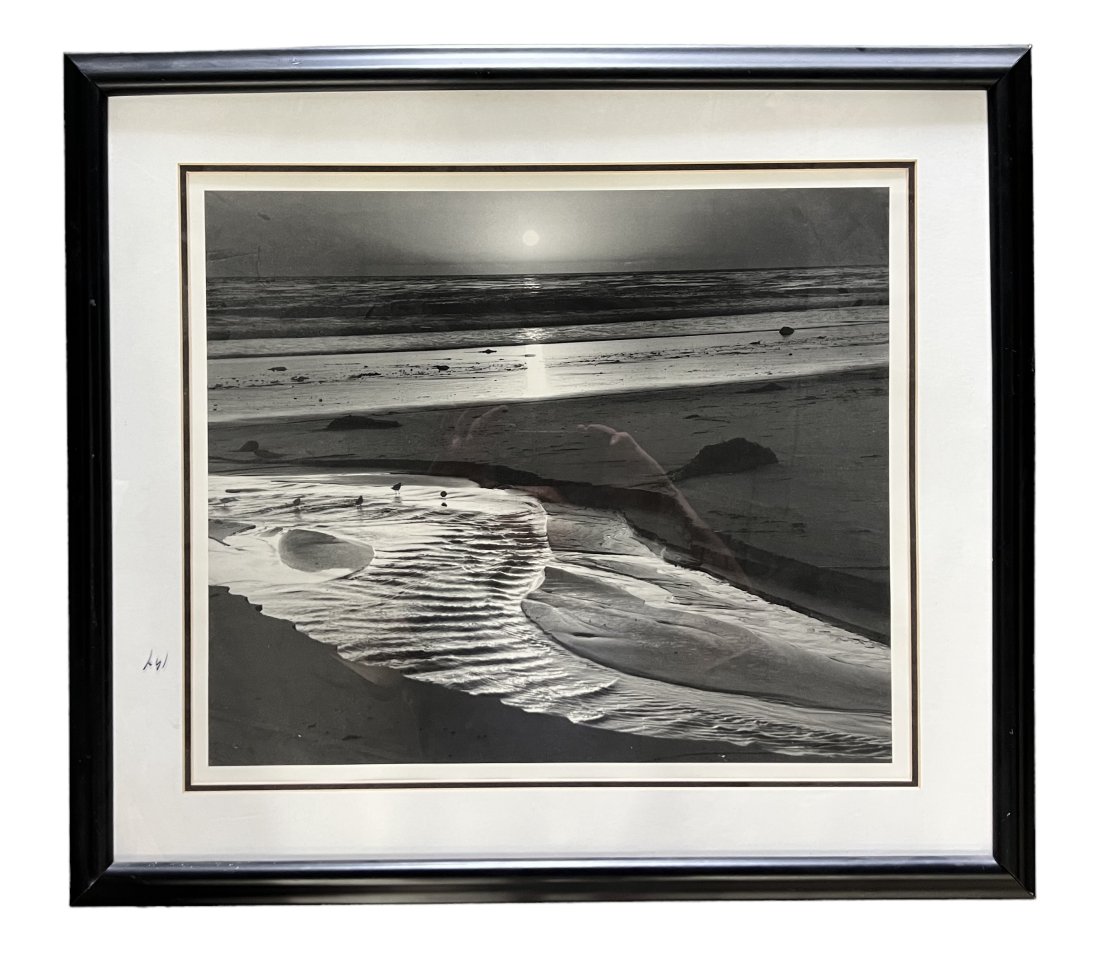 ANSEL ADAMS Birds On A Beach Fiax Lux 1966 (1 of 4)