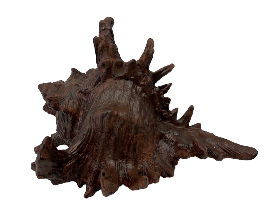 Contemporary Painted Metal Conch-shell Sculpture: 11 x 6 x 9 in