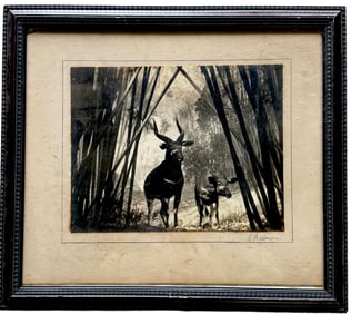 Antique Silver Gelatin African Jungle, Signed