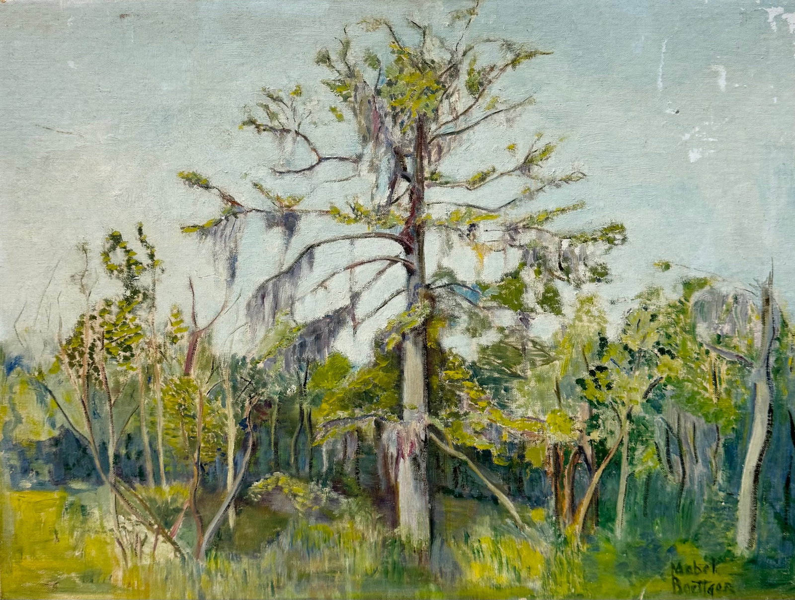 Early 20th c American School Florida Everglades Painting, Signed: Oil on board 24 x 18 in