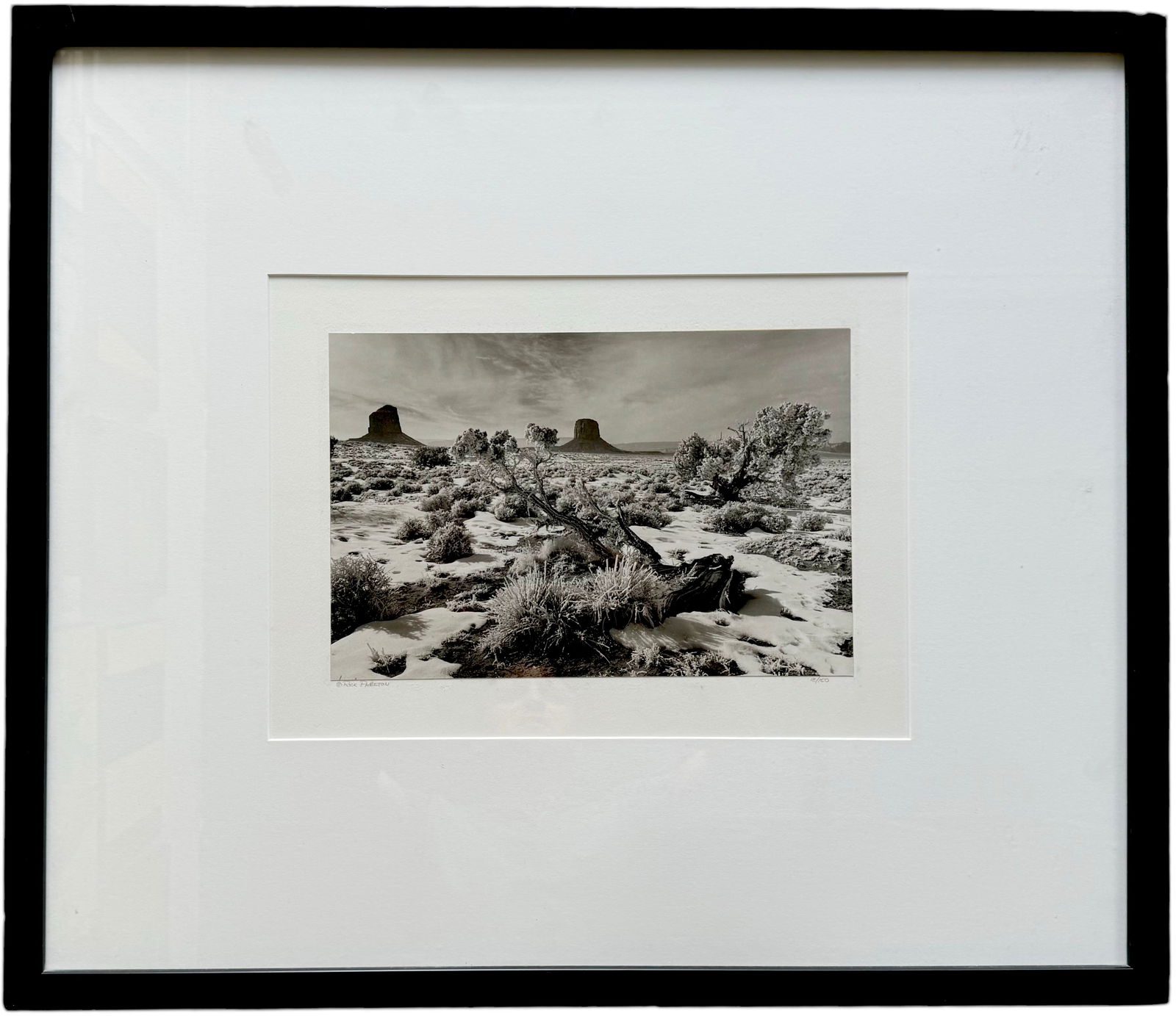 RICK PRESTON (b. 1966, American) Silver Gelatin Print Arizona Landscape (1 of 4)