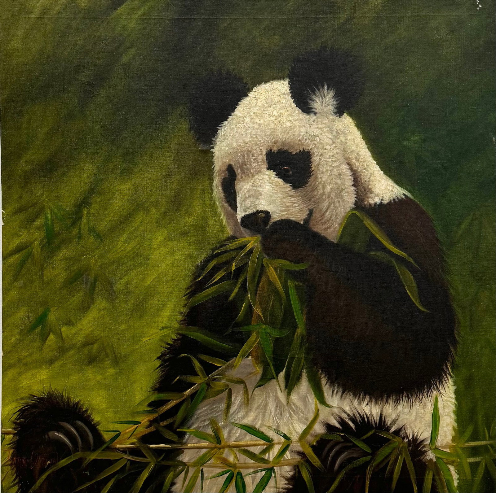 RAMON ORTEGA (b. 197, Venezuela) Caracas Artist, Panda Bear: Oil on canvas 36 x 36 in