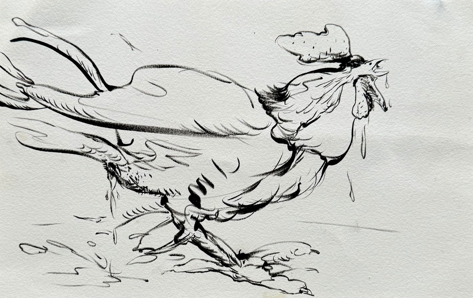 TOMAS ESSON (b. 1963, Cuba) Rooster Drawing (1 of 2)