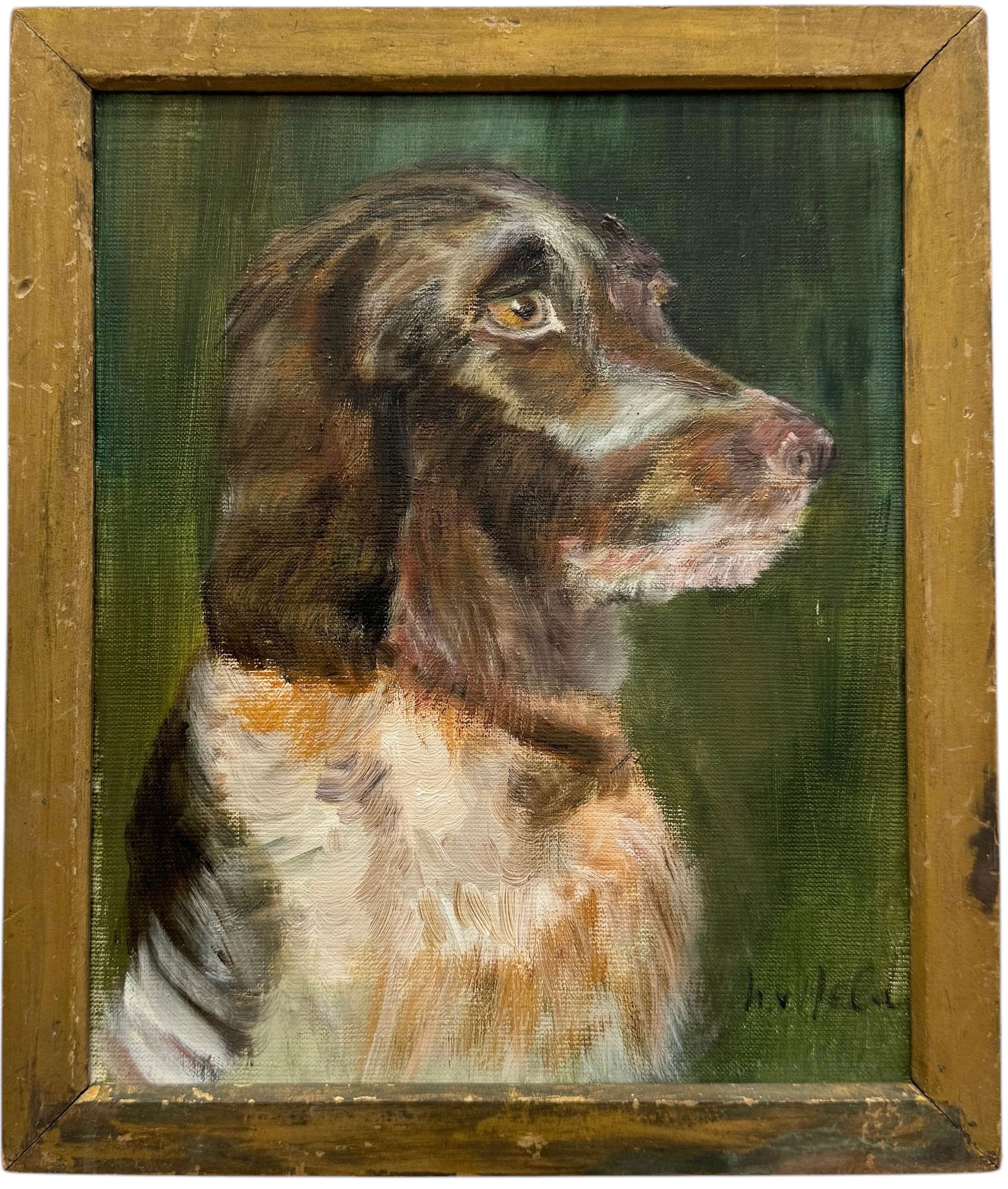 Antique Dog Painting, Portrait Of A Springer Spaniel Signed Illegibly (1 of 3)