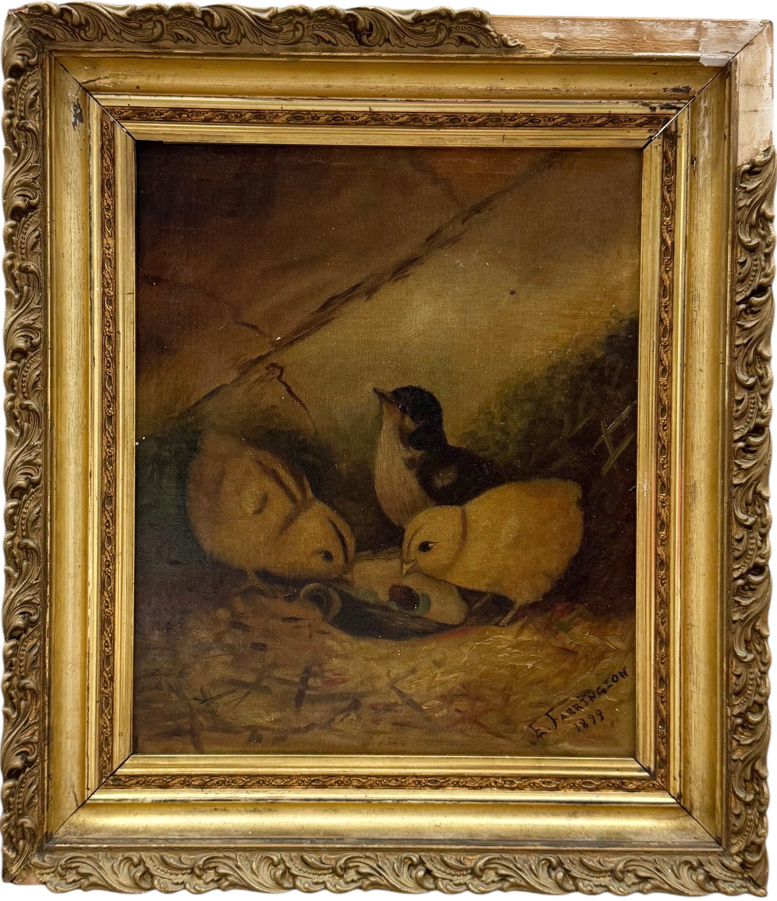 19th Century American School Painting Of Baby Chicks In Antique Gold Frame: Oil on canvas 12 x 10 in, 15.5 x 13.5 in