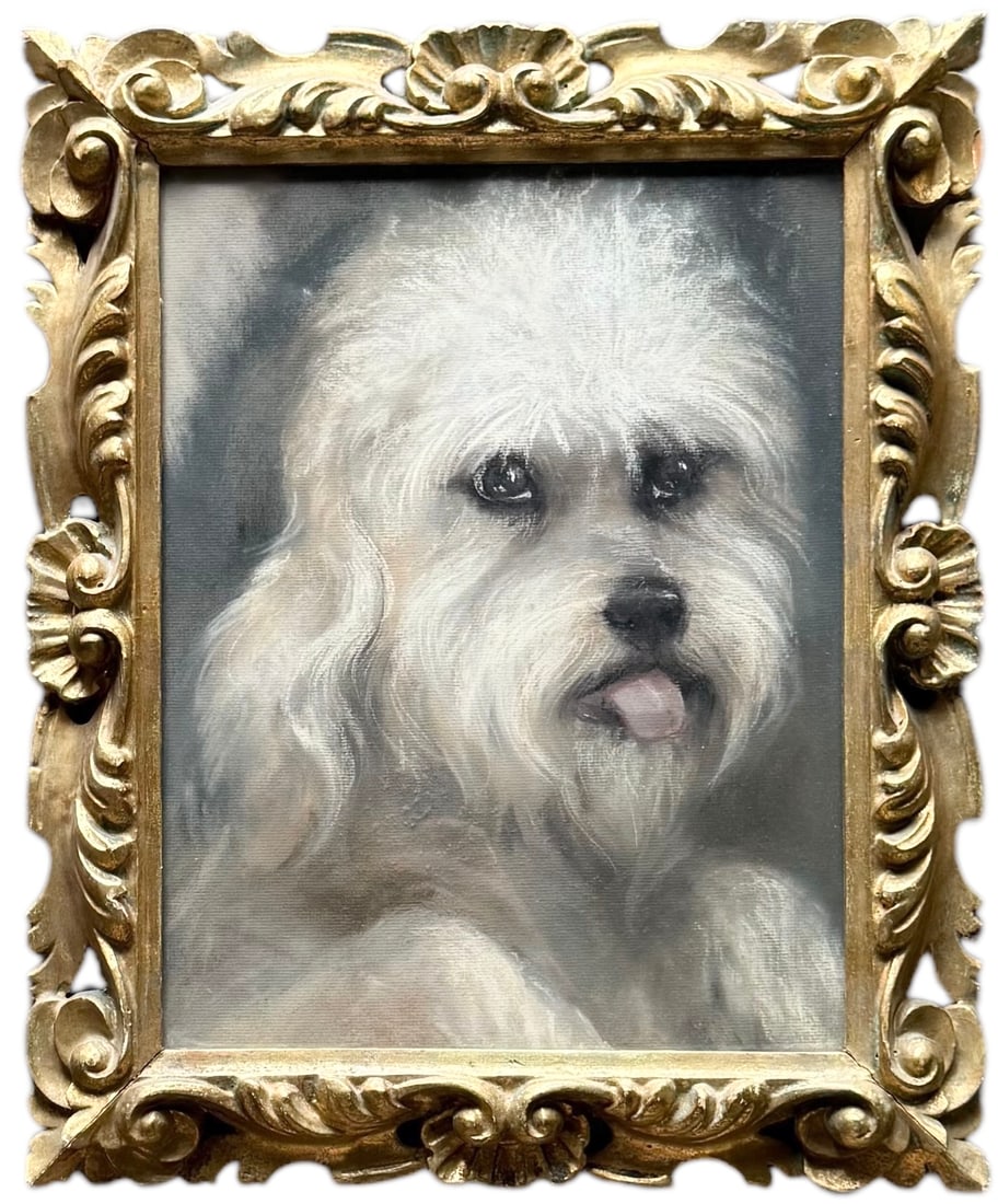 Antique Pastel Dog Portrait Of Dandie Dinmont Terrier, Nicely Framed: 18 x 15 in (framed)