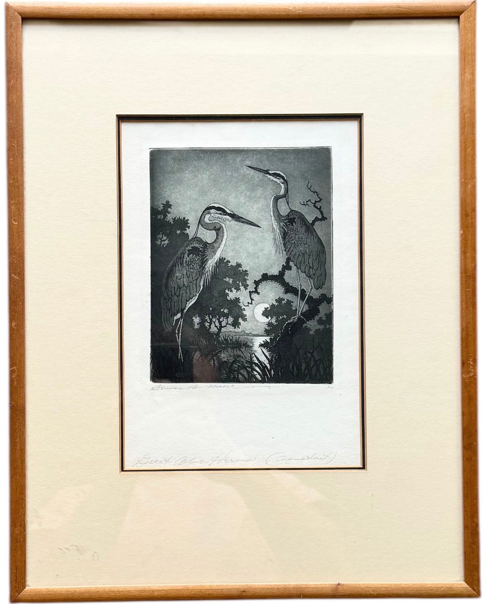 BENSON B MOORE Nicely Framed Florida Wildlife Etching (1 of 5)