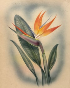 TED MUNDORFF, (1910-1969, American) Hawaiian Bird of Paradise Flower
