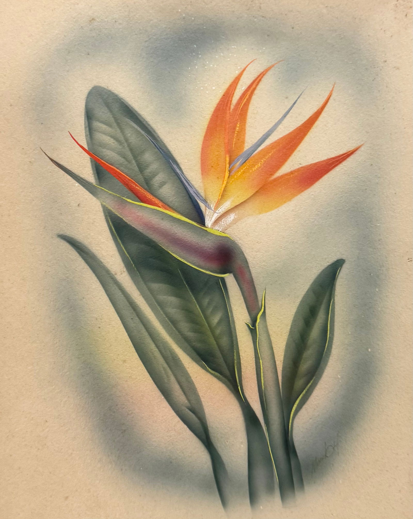 TED MUNDORFF, (1910-1969, American) Hawaiian Bird of Paradise Flower (1 of 4)