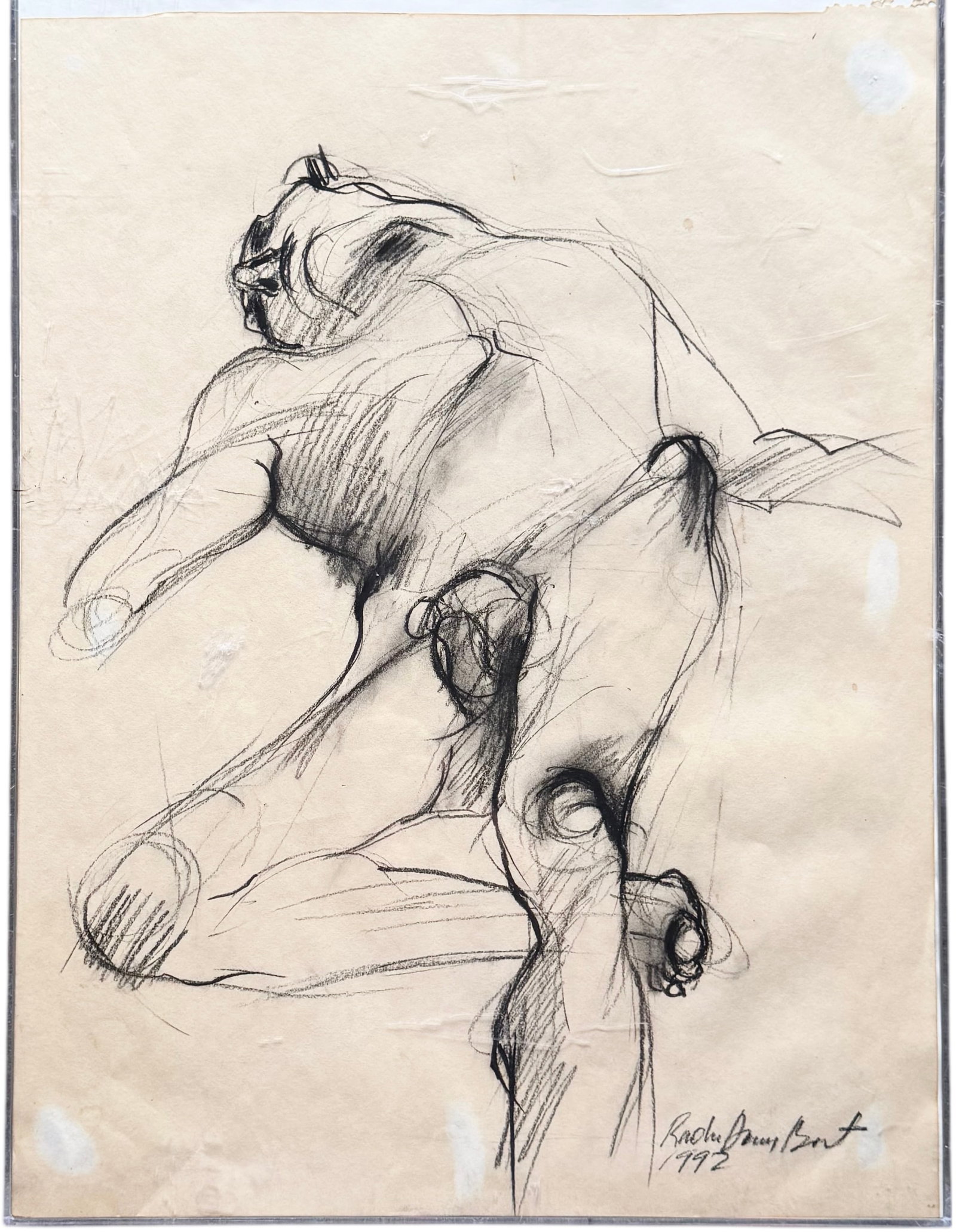 Male Nude Charcoal Drawing: Charcoal on paper 24 x 18 in (framed). Domestic Flat Shipping Price: $65