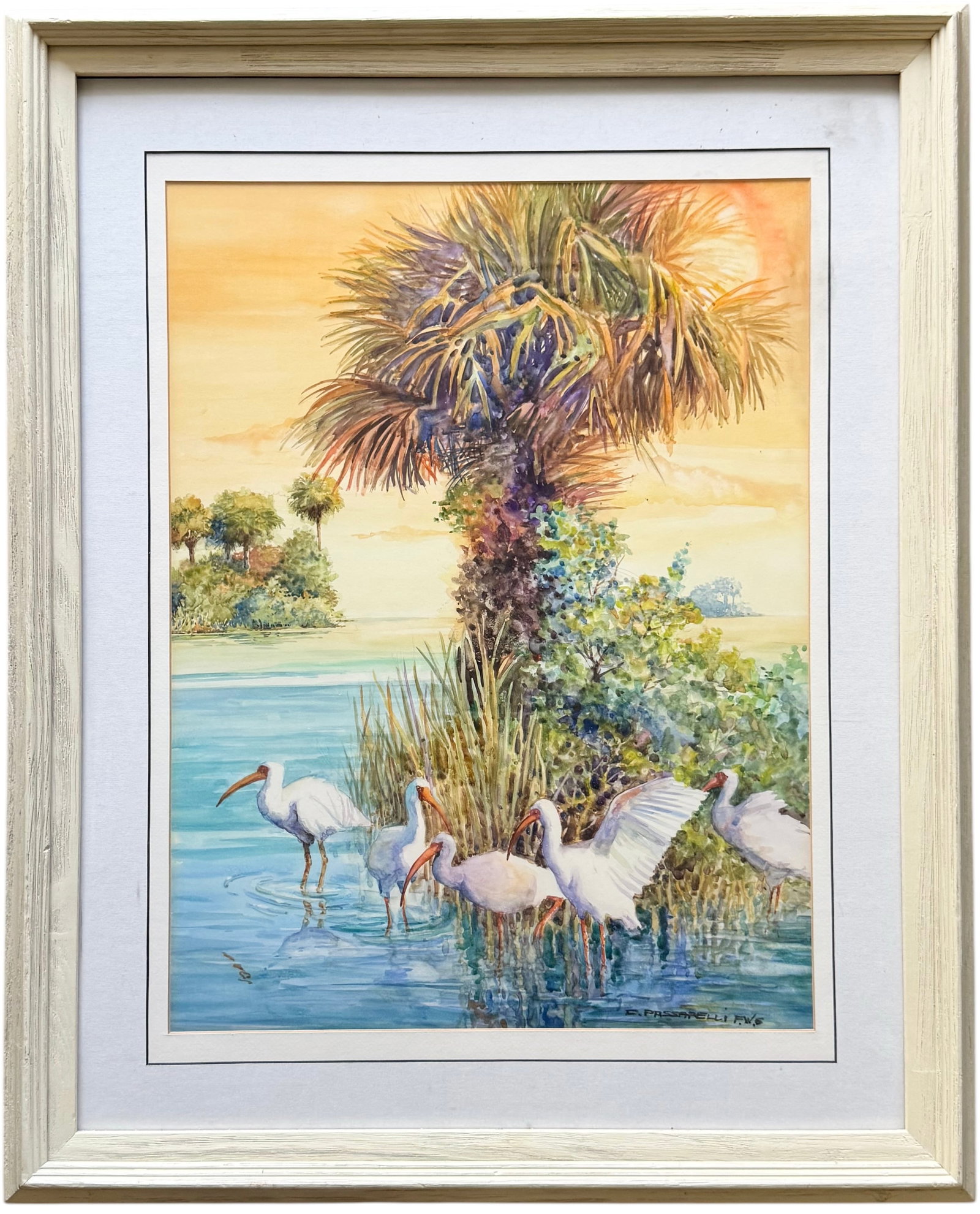 CHARLES PASSARELLI Florida Everglades Watercolor Boca Raton Artist: Watercolor 22 1/4 x 16 3/4 in (sight), 36 x 26 in (framed). Domestic Flat Shipping Price: $120