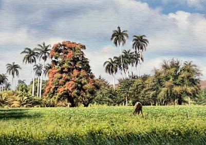 JOSE PERDOMO GARCIA Cuban Landscape
