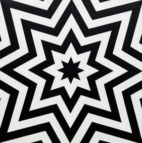 TIM RAY FISHER (b. 1969, Indiana) Black & White Op Art Abstract