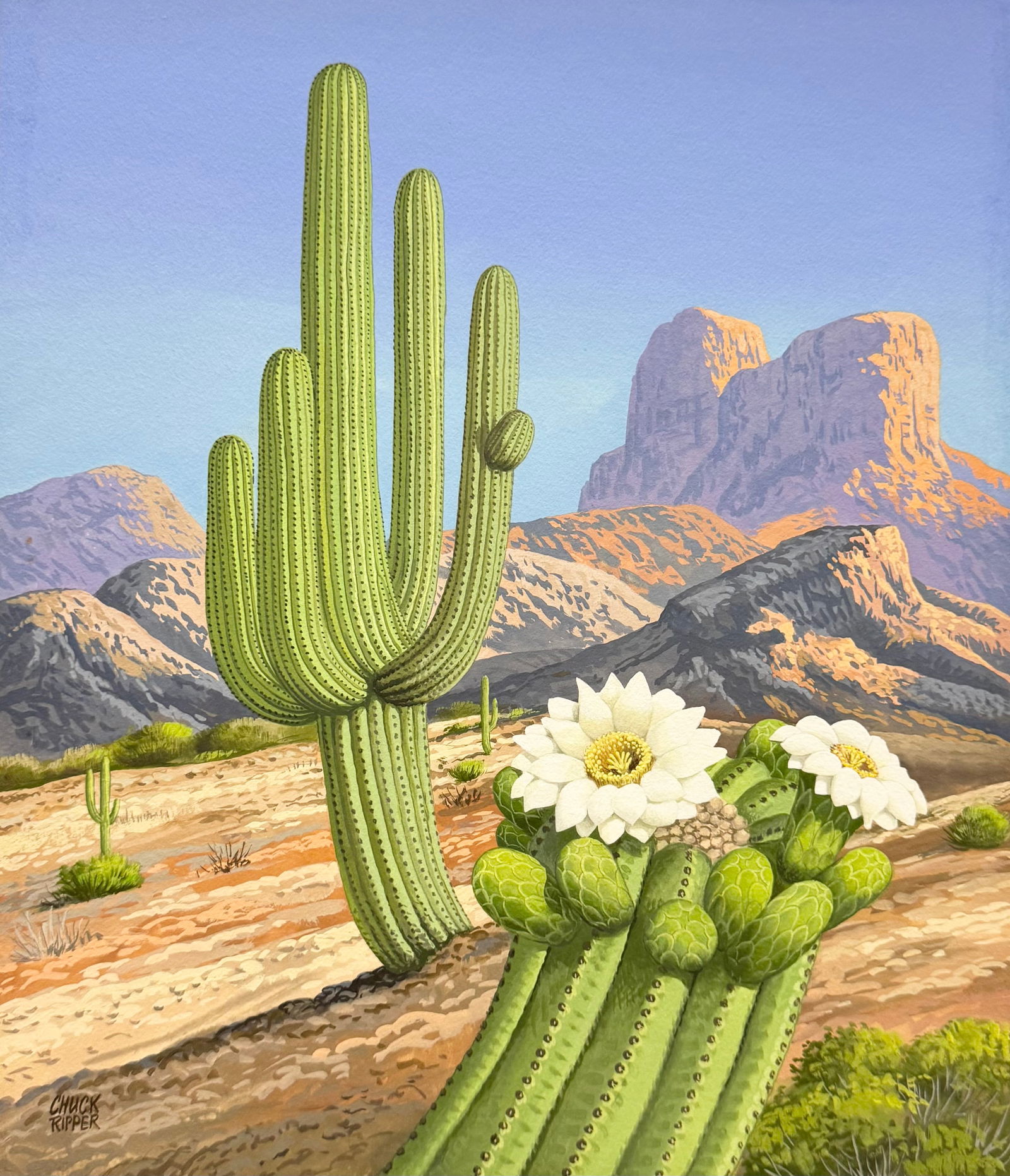 CHUCK RIPPER (b. 1929, American) Southwestern Cactus Landscape: Gouache on board 14 1/2 x 12 1/2 in (image size). Domestic Flat Shipping Price: $45. he following was submitted September 2004 by Jackie Wolf, art and antique dealer. She found the information in an a