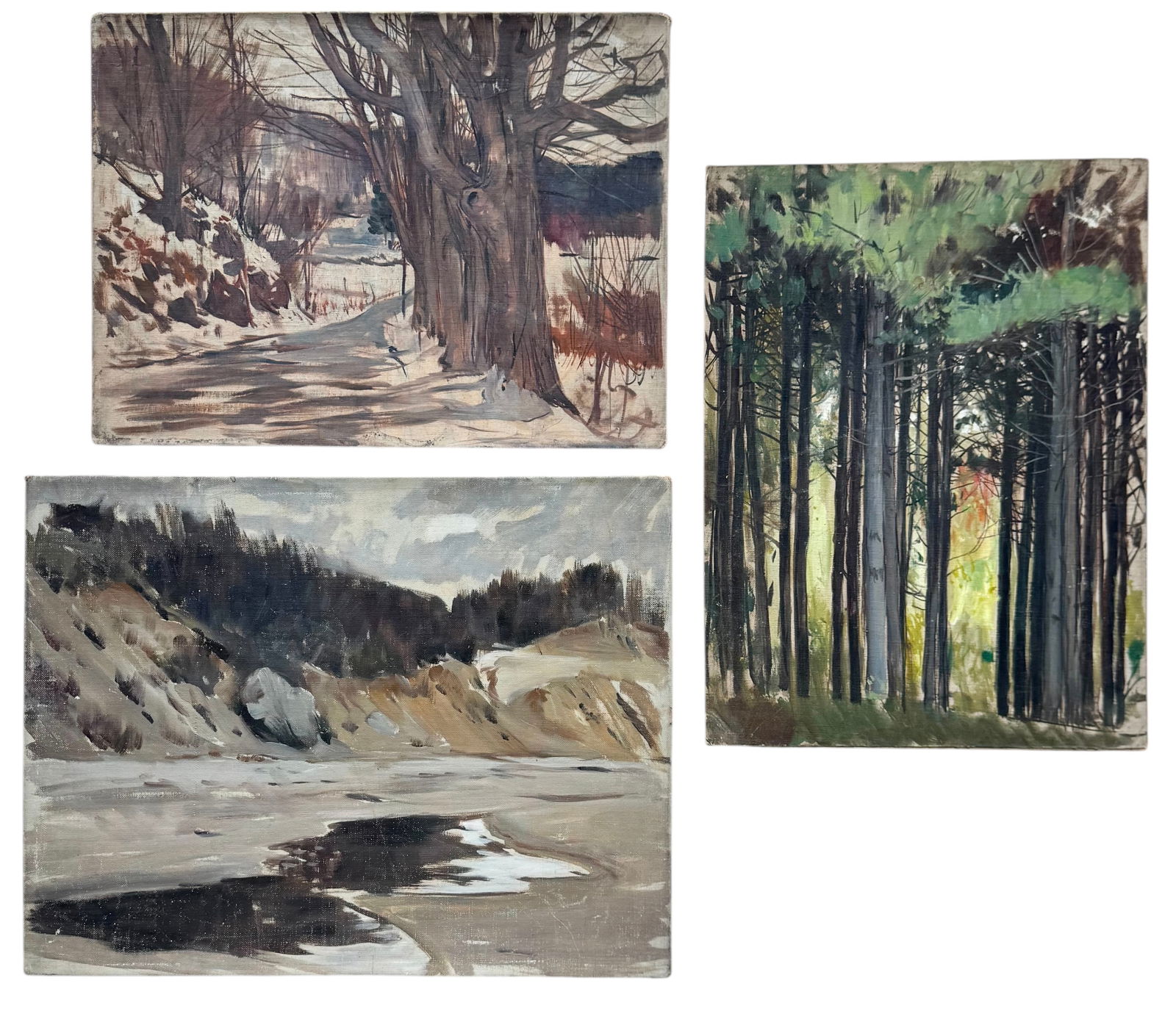 TORE ASPLUND (1903-1978, American) (3) Unsigned Forest Landscapes: Oil paint on board 12 x 16 in, 14 x 18 in. Domestic Flat Shipping Price: $55. These are from the artists estate that we sold previously. Guaranteed.