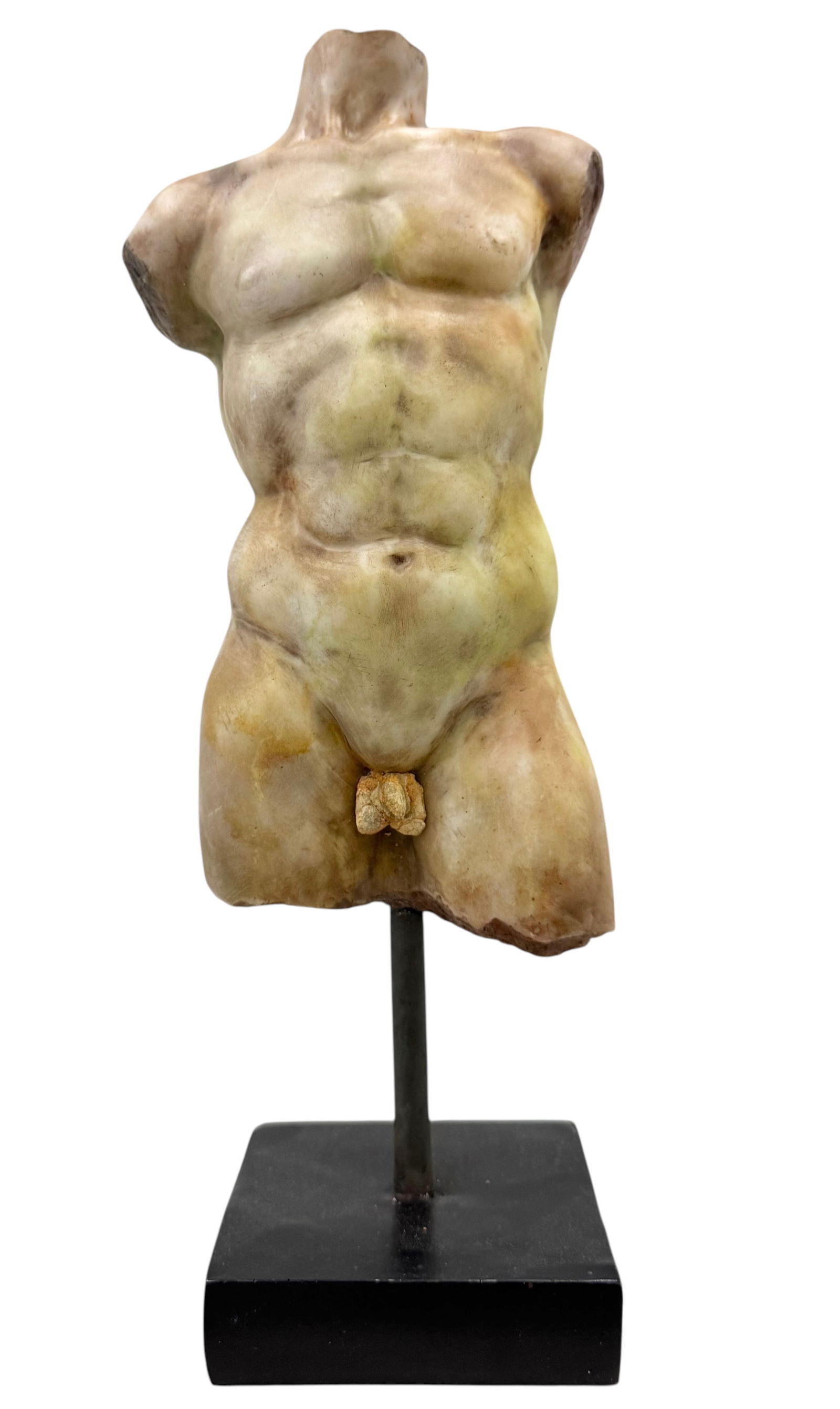 Torso: Size