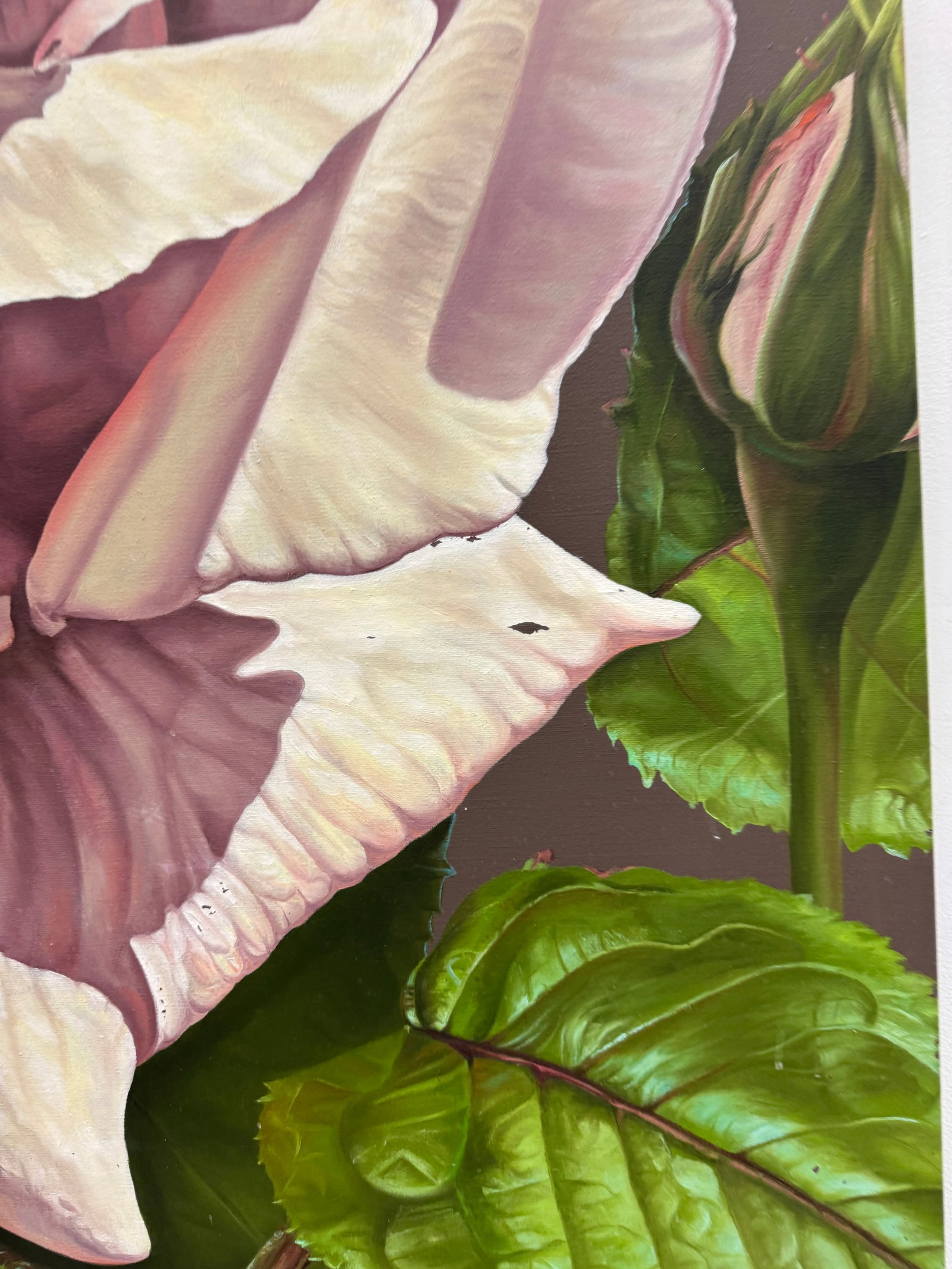 CHARLOTTE JACKSON Large Flower - 3